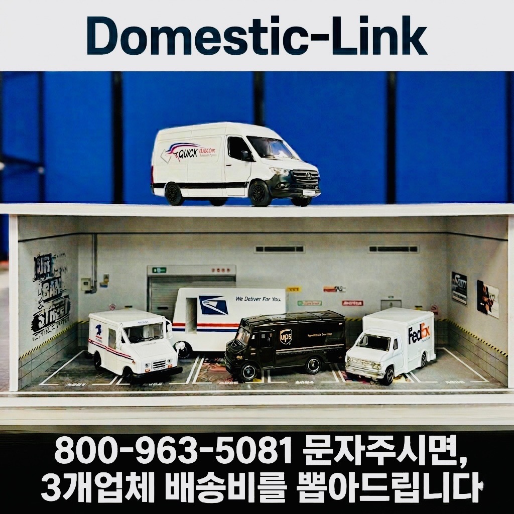 �̱� �� ����� ���ο� ����, ��Domestic Link�� ���� ����